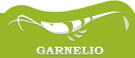 75% Garnelio-Gutschein